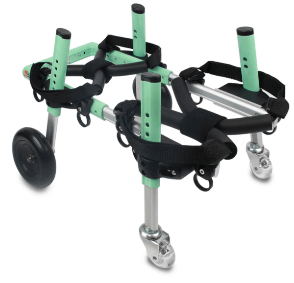 CHARIOT WALKIN' WHEELS FULL SUPPORT SMALL – Image 2